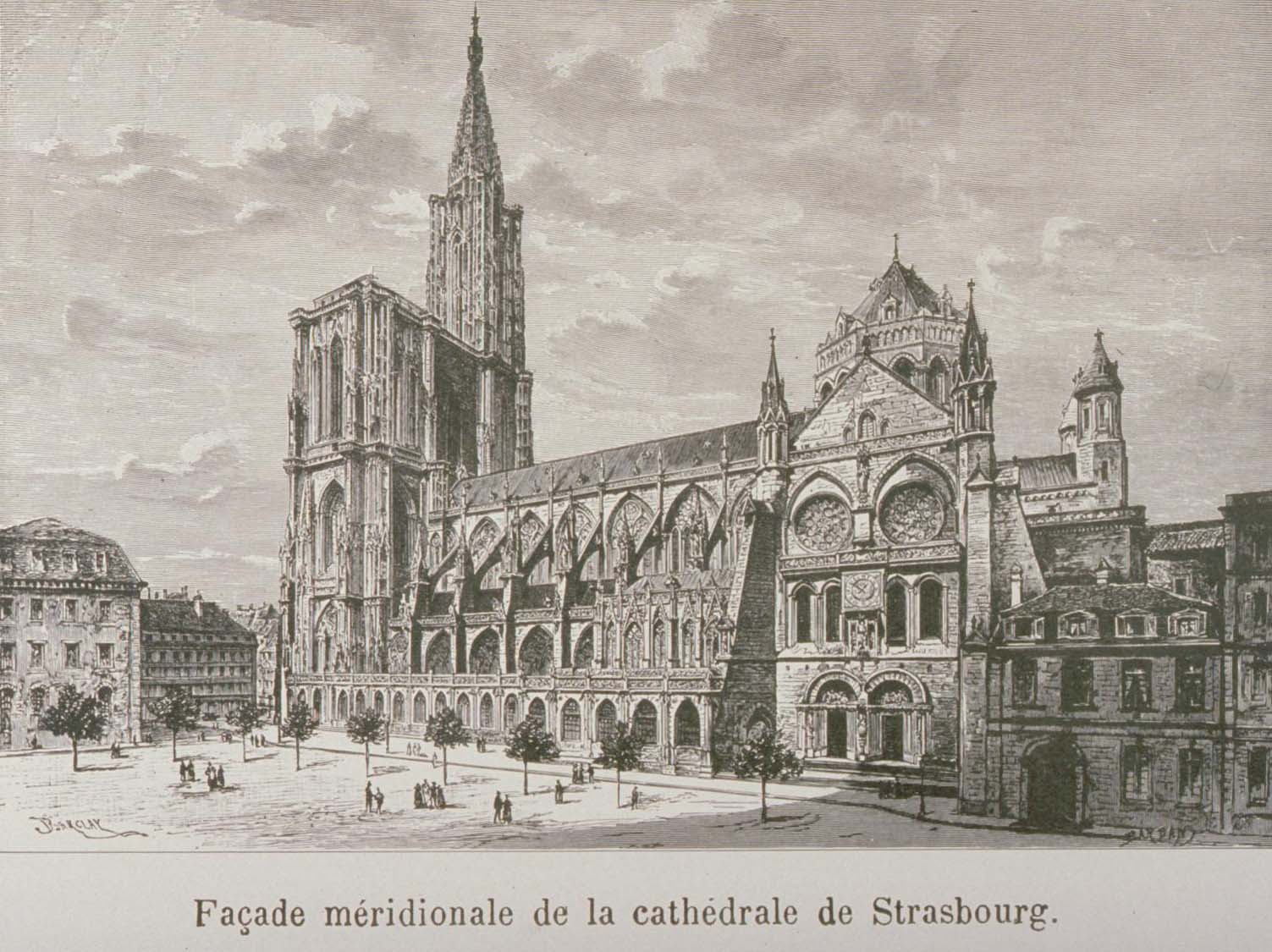 Cathedrale de Strasbourg Cathedrale de
Strasbourg