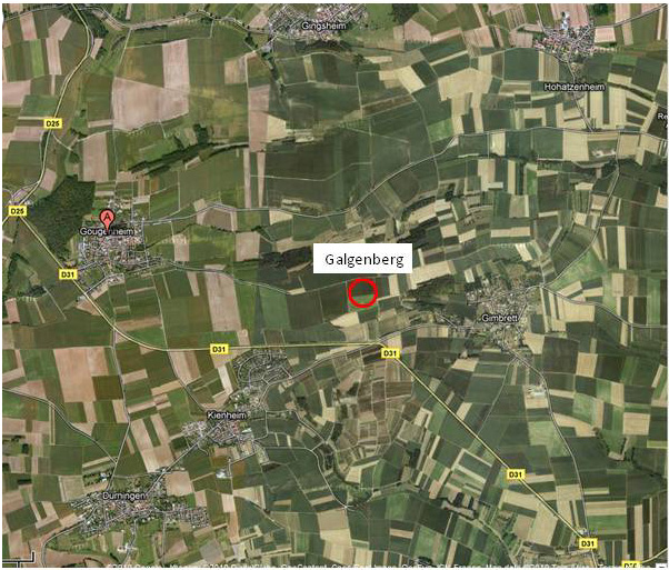 Galgenberg