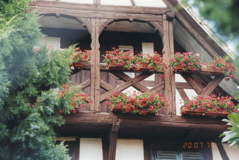 schulzte