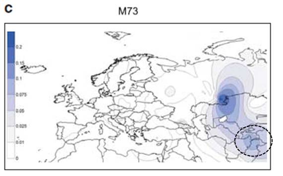 Mutation M73