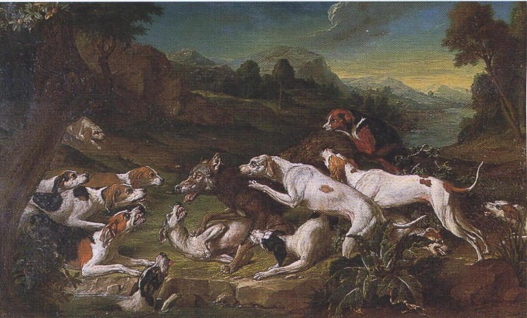 chasse au loup