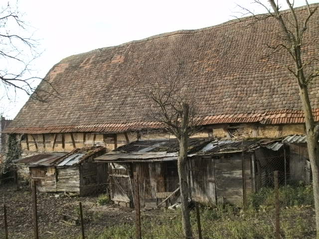 Steinhof