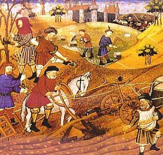 Scene des champs