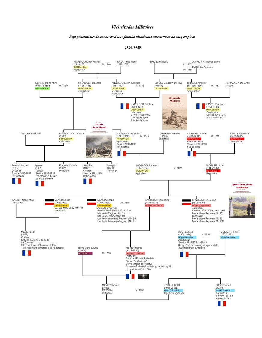 arbre genealogique